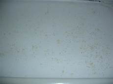 Mould In Bedroom