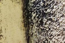 Mould Prevention