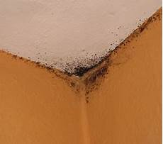 Mould Prevention