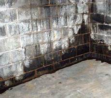 Mould Prevention