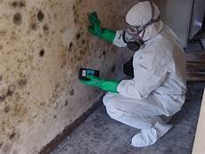 Mould Remediation