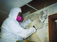 Mould Remediation