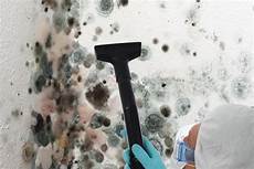 Mould Remediation
