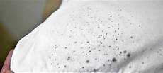 Mould Remediation