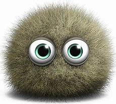 Mould Spores