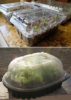 Plastic Container