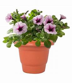 Plastic Flowerpot
