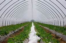 Plastic Irrigation Pipes