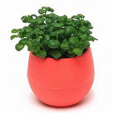 Plastic Meat Container