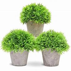 Plastic Plants
