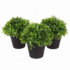 Plastic Plants