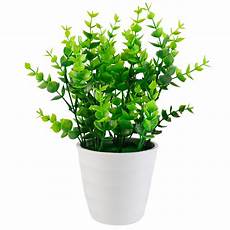 Plastic Plants