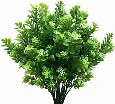 Plastic Plants