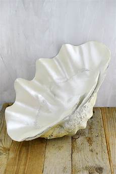 Plastic Plates