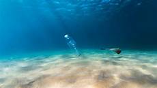 Plastics Bottle