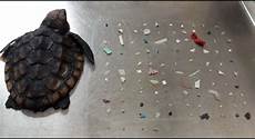 Plastics