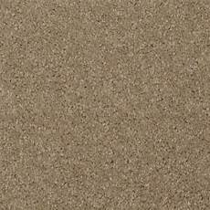 Polypropylene Bcf