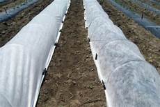 Polypropylene Circular Woven Fabrics