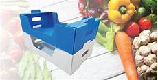 Polypropylene Corrugated Box