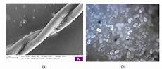 Polypropylene Fiber