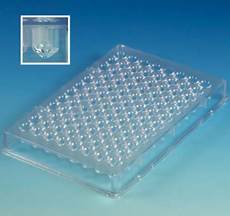 Polypropylene Lid