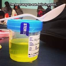 Polypropylene Sample Collection Cup