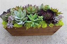 Rectangle Plastic Containers