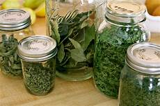 Sealable Plastic Containers