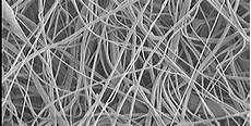 Spunbond Polypropylene