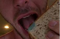 Stachybotrys Mold