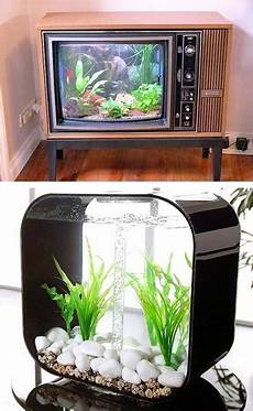 Tanks For Fish