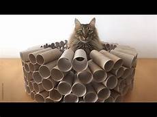 Toilet Paper