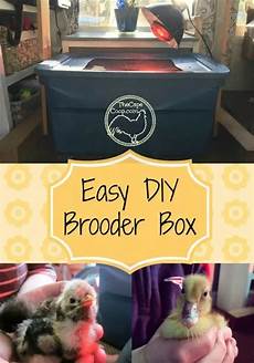 Tote Storage Boxes