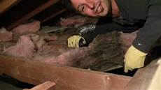 Toxic Black Mold
