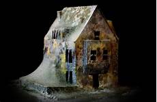 Toxic Mold