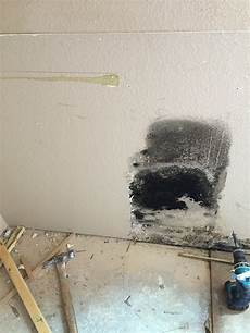 Toxic Mould