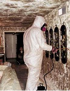 Toxic Mould