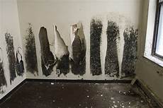 Your Mold