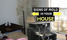 Your Mold